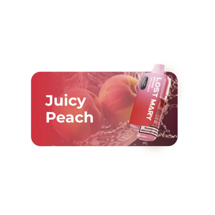 Lost Mary BM6000 Prefilled Pod Kit – 10ml | 650mAh Rechargeable | USB-C | TPD BOX OF 5PC