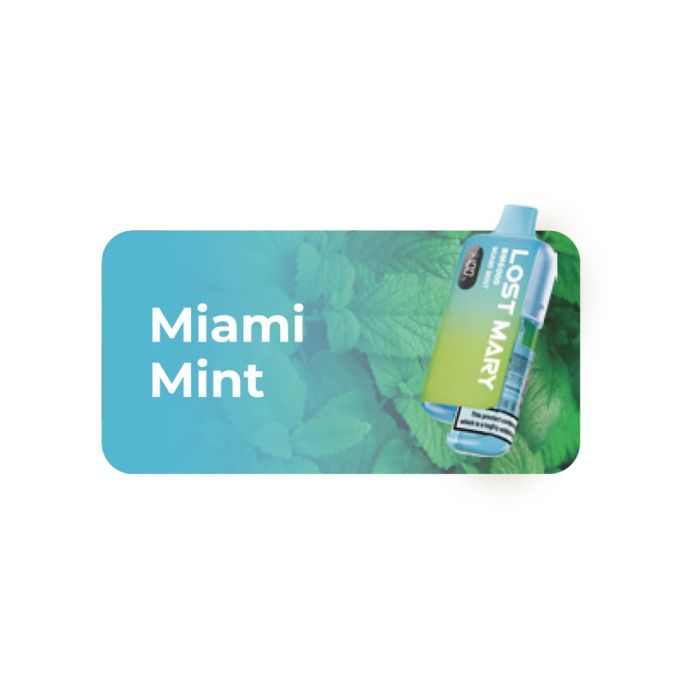 Lost Mary BM6000 Prefilled Pod Kit – 10ml | 650mAh Rechargeable | USB-C | TPD BOX OF 5PC