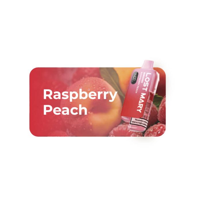 Lost Mary BM6000 Prefilled Pod Kit – 10ml | 650mAh Rechargeable | USB-C | TPD BOX OF 5PC