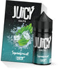 JUICY NIC SALT 10ml 20mg 50VG/50PG E-Liquids FRUIT FLAVOURS